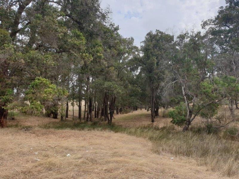 2477 Bridgetown-Boyup Brook Road, Boyup Brook WA 6244