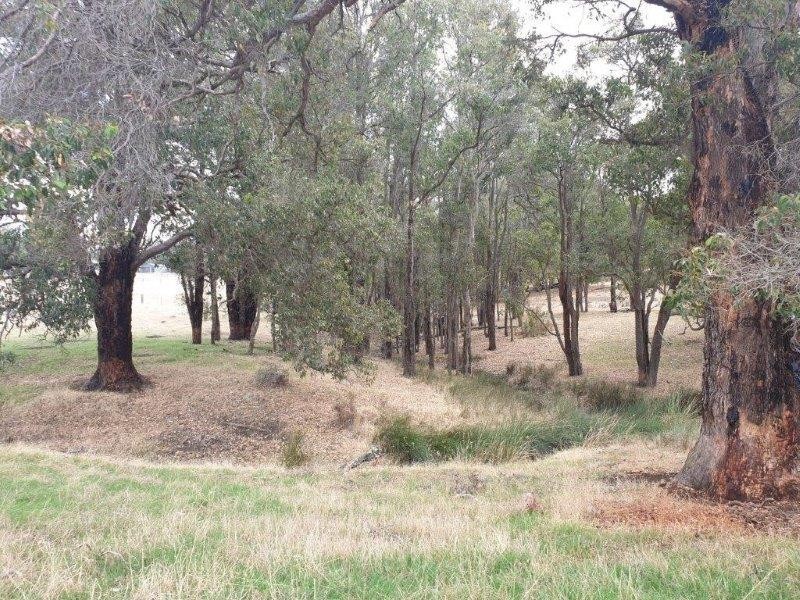 2477 Bridgetown-Boyup Brook Road, Boyup Brook WA 6244