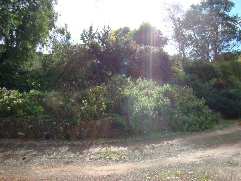 45 Dean Street, Bridgetown WA 6255