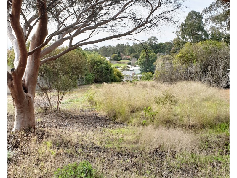 44 Telluride Street, Greenbushes WA 6254