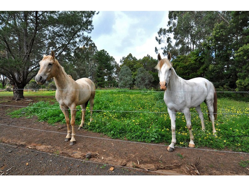 2 Doust Street, Bridgetown WA 6255