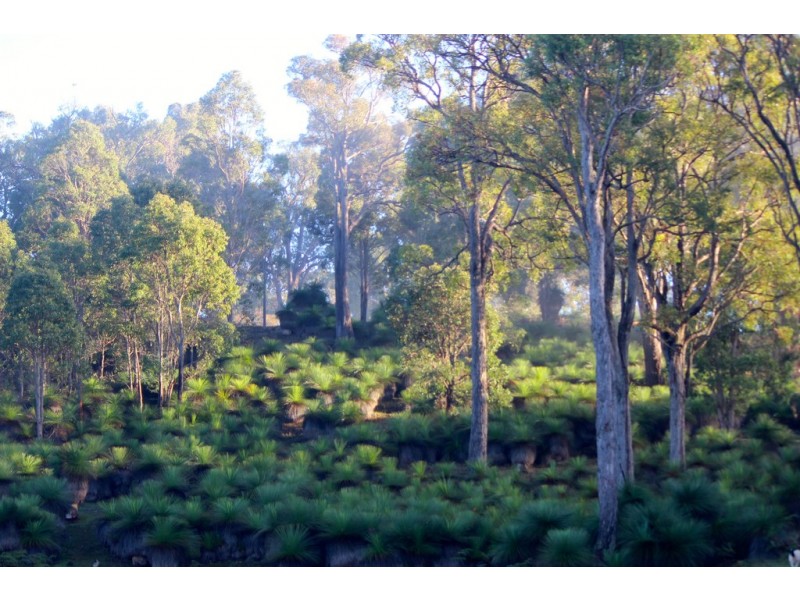 37 Grimwade Road, Balingup WA 6253