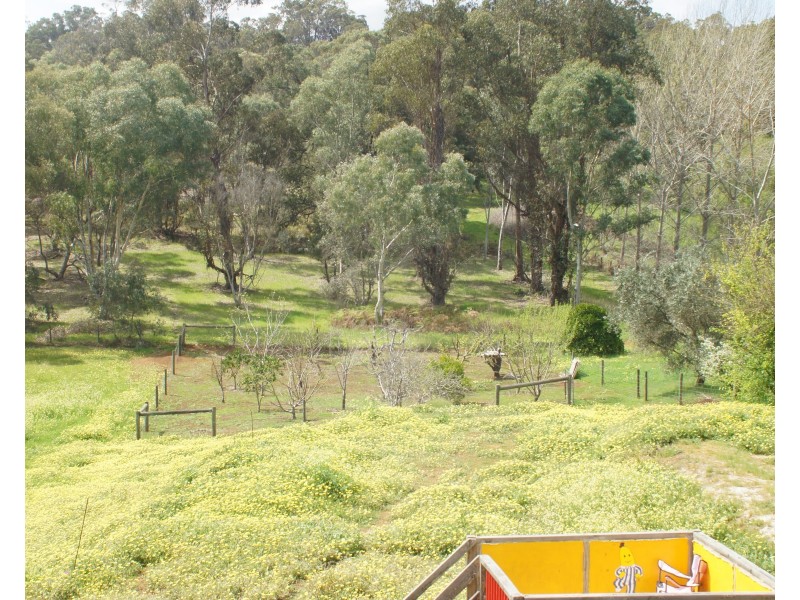 23 De Lisle Street, Balingup WA 6253