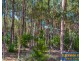 Lot 15 Brockman Highway, East Nannup WA 6275