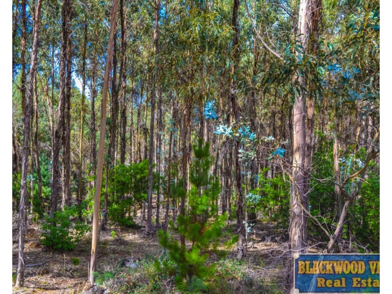 Lot 15 Brockman Highway, East Nannup WA 6275