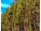 Lot 15 Brockman Highway, East Nannup WA 6275