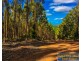 Lot 15 Brockman Highway, East Nannup WA 6275