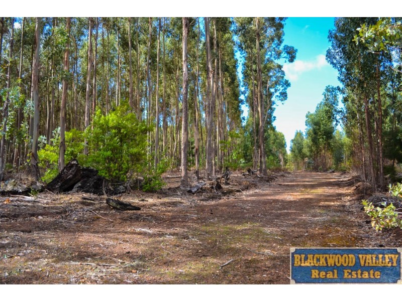 Lot 11059 Brockman Highway, Nannup WA 6275