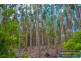 Lot 11059 Brockman Highway, Nannup WA 6275