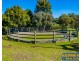 20 Blackbutt Drive, Manjimup WA 6258