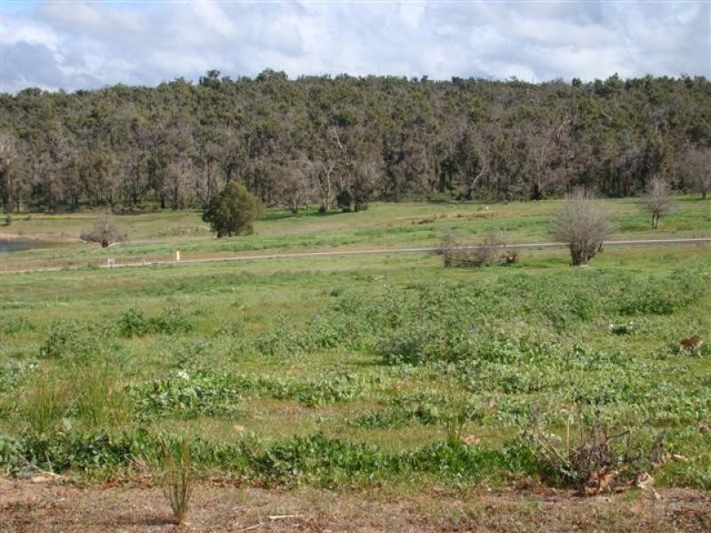 329 Haig Street, Bridgetown WA 6255