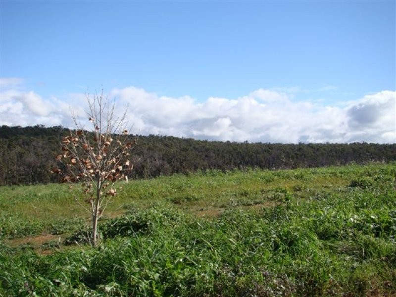 330 Haig Street, Bridgetown WA 6255