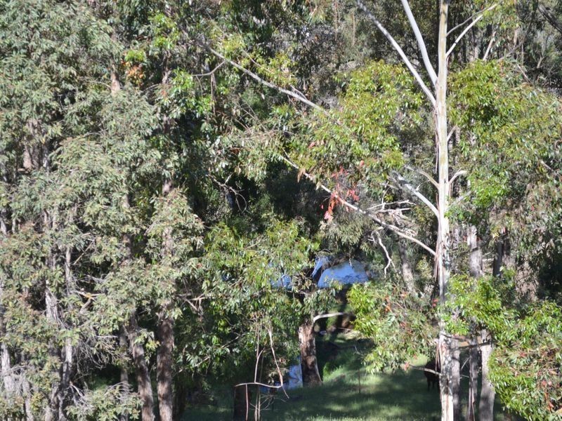 44 Pratt Road, Bridgetown WA 6255