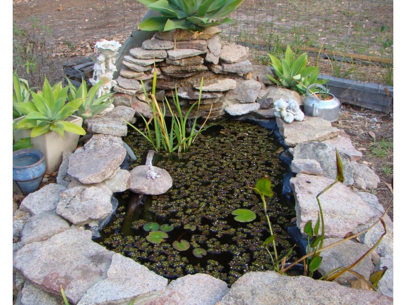 63 Peninsula Road, Bridgetown WA 6255