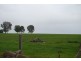 54 Hester Rd, Bridgetown WA 6255
