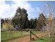 Lot 7 Forest View Court, North Greenbushes WA 6254