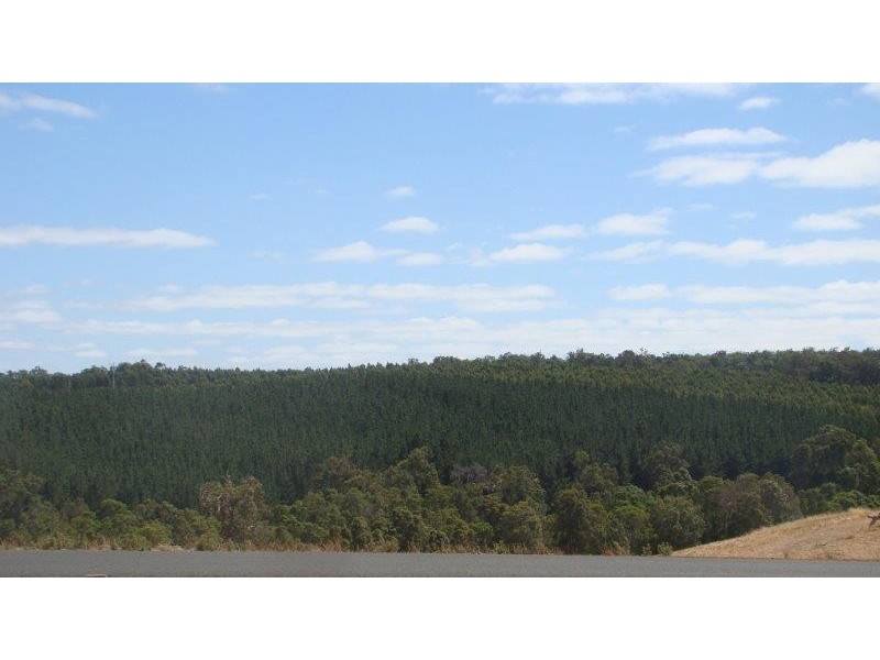 Lot 92 Sunridge Drive, Bridgetown WA 6255
