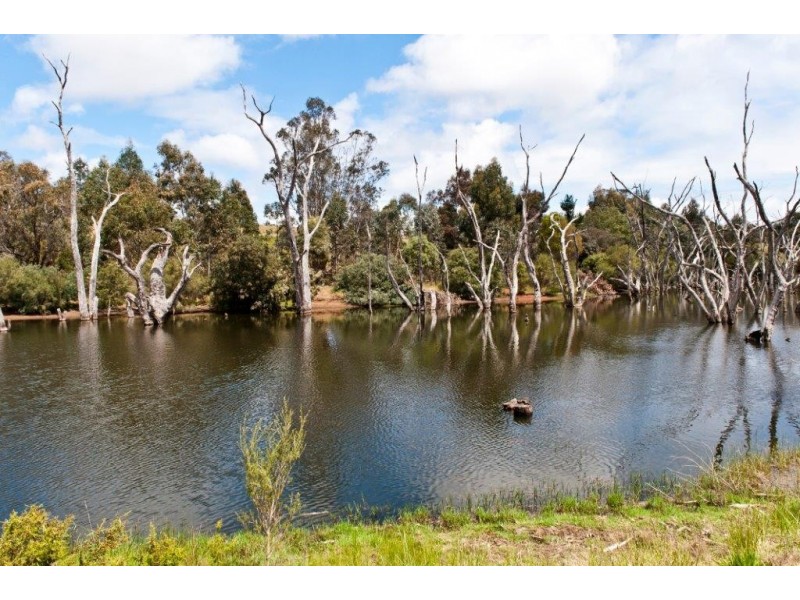 22 Winnejup Rd, Bridgetown WA 6255