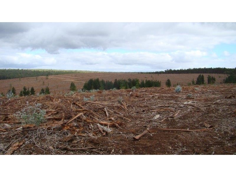 2640 Greville Rd, Kingston WA 6256