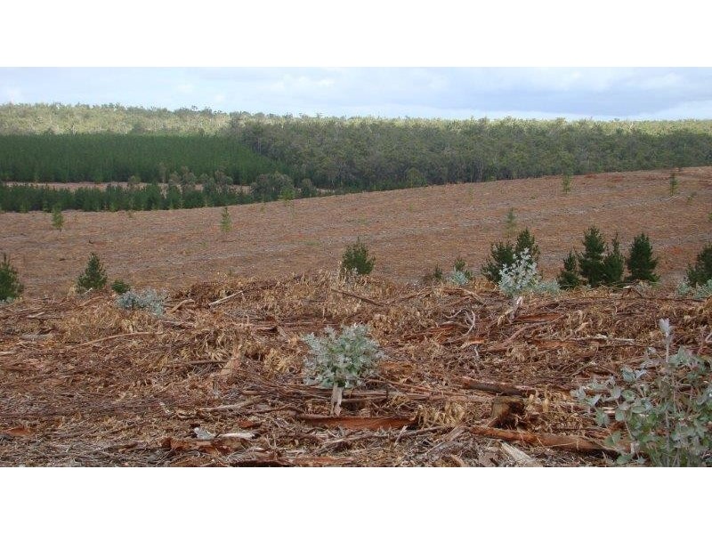 2640 Greville Rd, Kingston WA 6256