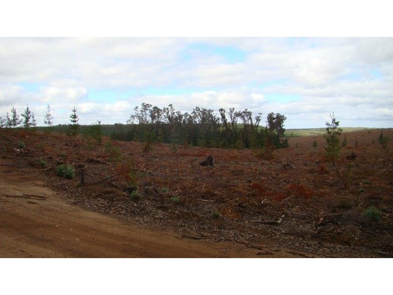 5276 Greville Rd, Kingston WA 6256