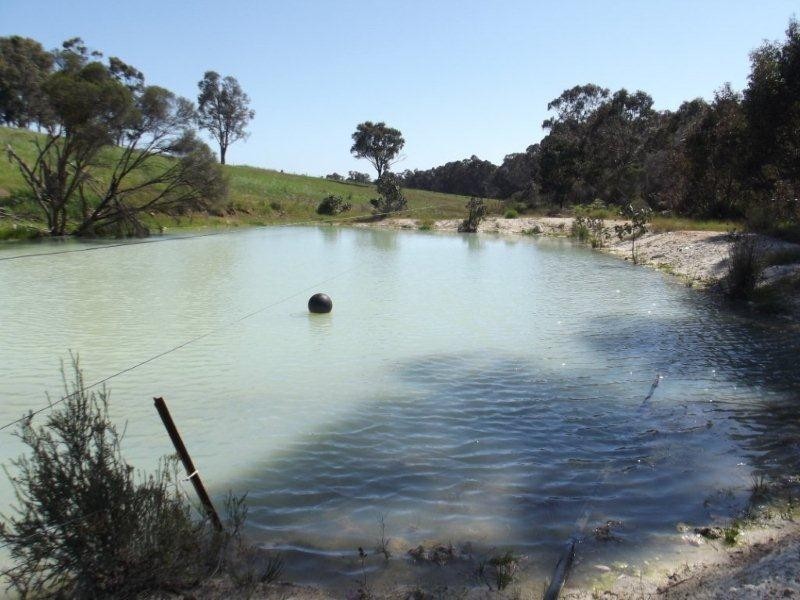 lot 420 Yovanche Road, Bridgetown WA 6255