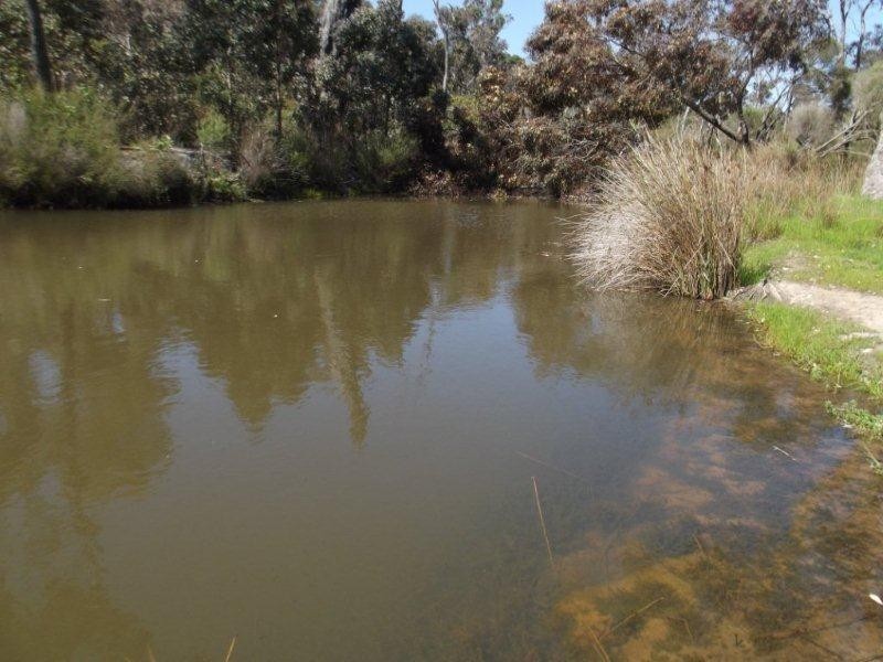 lot 420 Yovanche Road, Bridgetown WA 6255