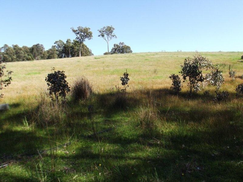 lot 420 Yovanche Road, Bridgetown WA 6255