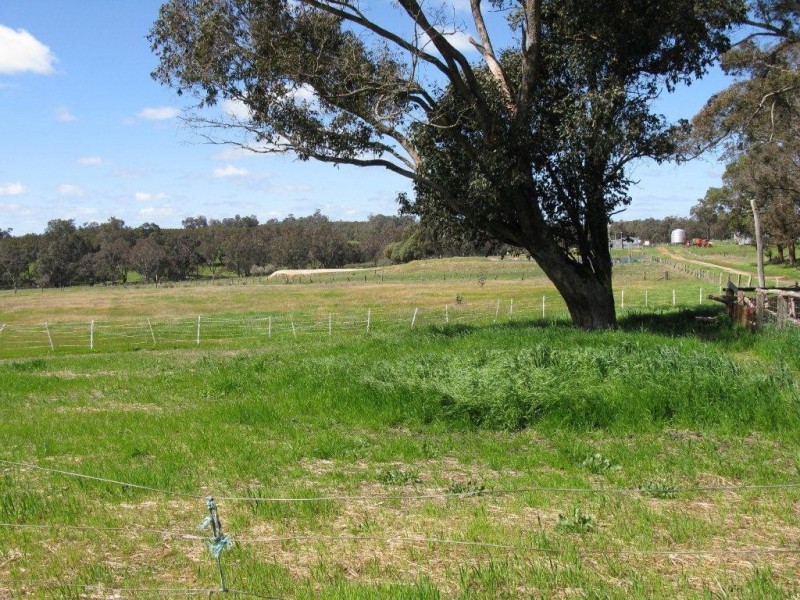 11758 Greenbushes-Boyup Brook Rd, Bridgetown WA 6255