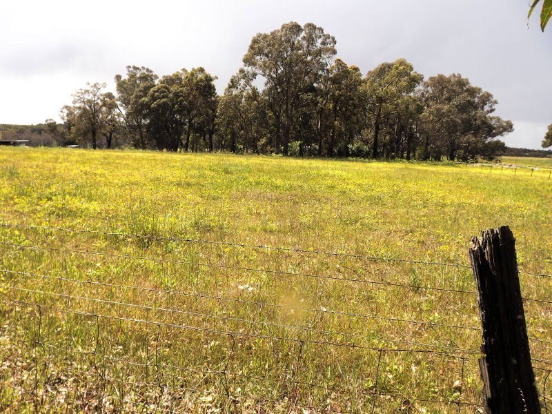 11119 Greenbushes-Boyup Brook Rd, Bridgetown WA 6255