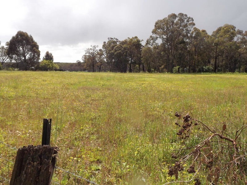 11119 Greenbushes-Boyup Brook Rd, Bridgetown WA 6255