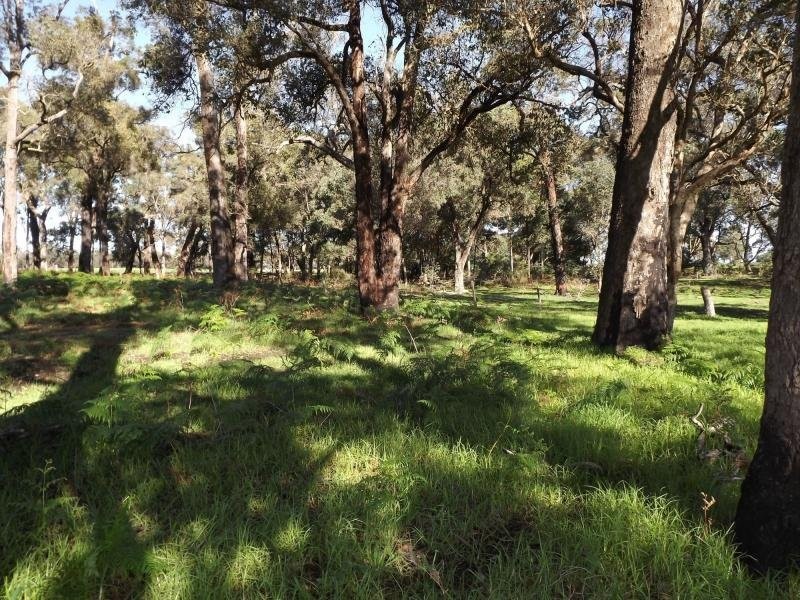 11119 Greenbushes-Boyup Brook Rd, Bridgetown WA 6255