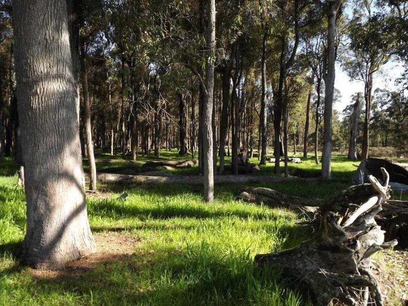 11119 Greenbushes-Boyup Brook Rd, Bridgetown WA 6255