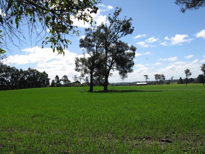 11016 Greenbushes-Boyup Brook Rd, Bridgetown WA 6255