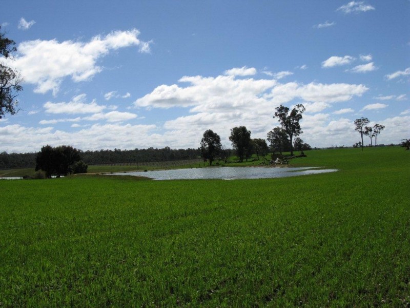 11016 Greenbushes-Boyup Brook Rd, Bridgetown WA 6255