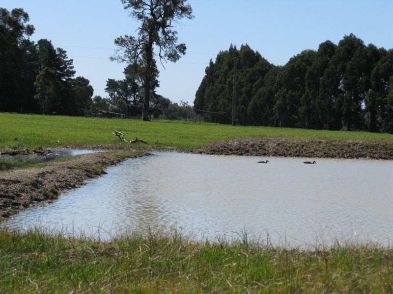 11016 Greenbushes-Boyup Brook Rd, Bridgetown WA 6255