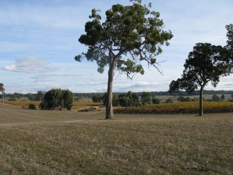 11016 Greenbushes-Boyup Brook Rd, Bridgetown WA 6255