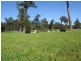 11016 Greenbushes-Boyup Brook Rd, Bridgetown WA 6255