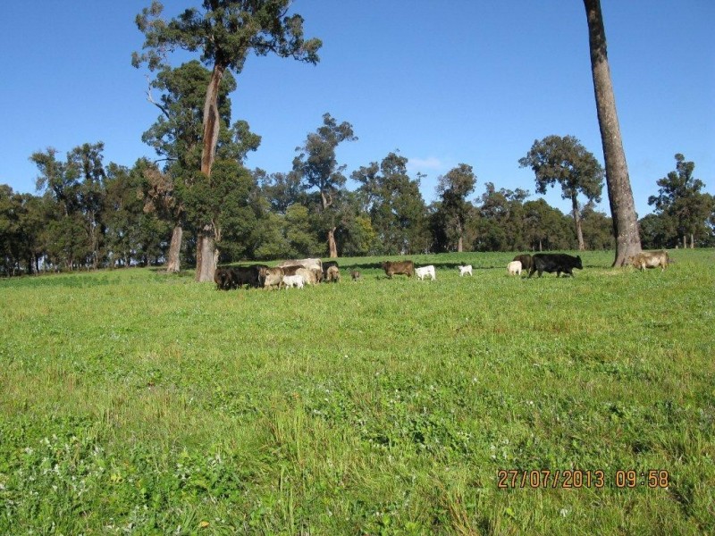 11016 Greenbushes-Boyup Brook Rd, Bridgetown WA 6255