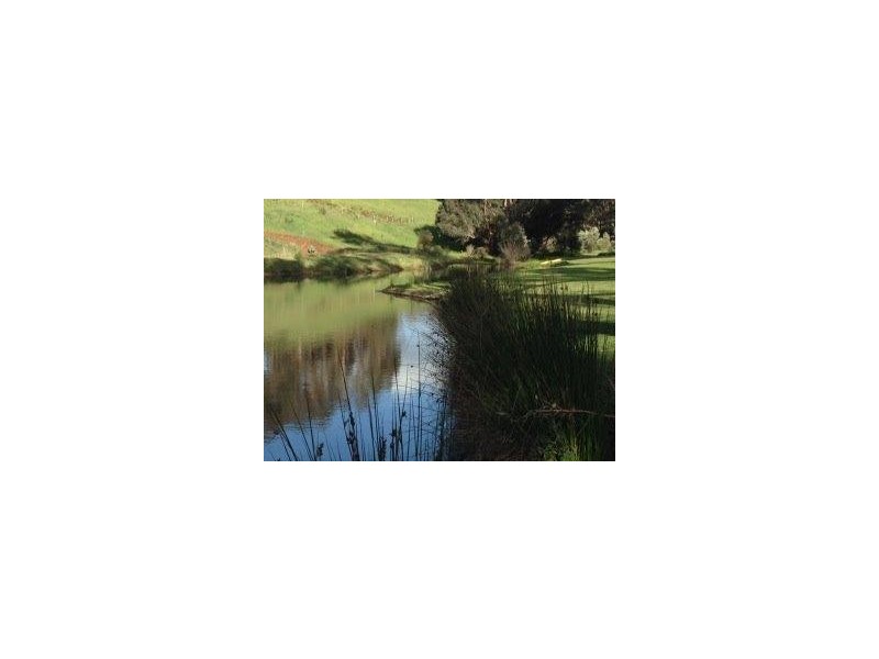 lot 34 Henderson rd, Bridgetown WA 6255