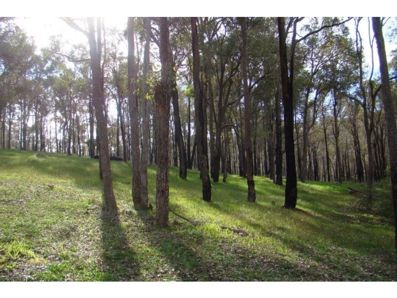 100 (lot 757) Reverend’s Ramble, Bridgetown WA 6255