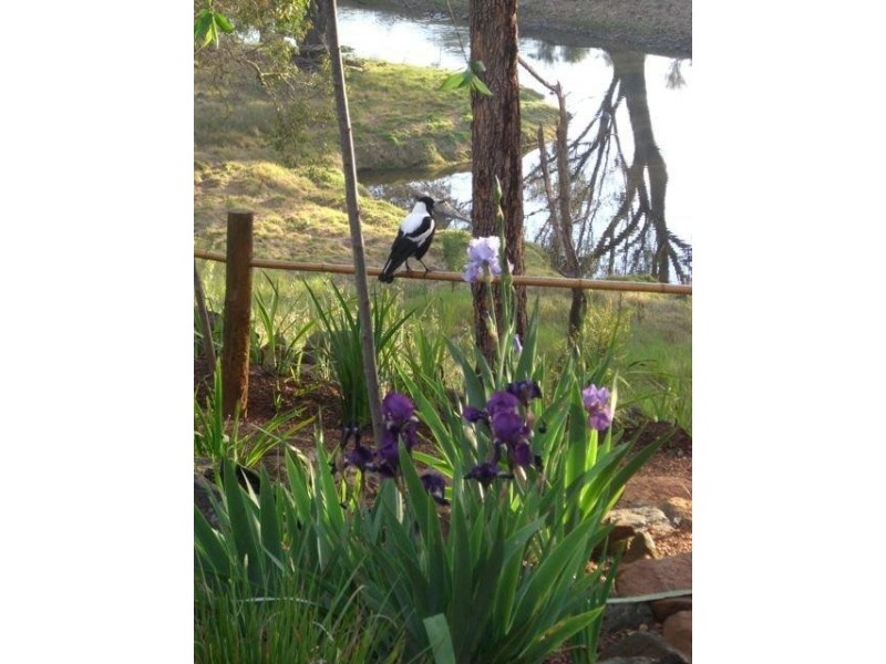 100 (lot 757) Reverend’s Ramble, Bridgetown WA 6255