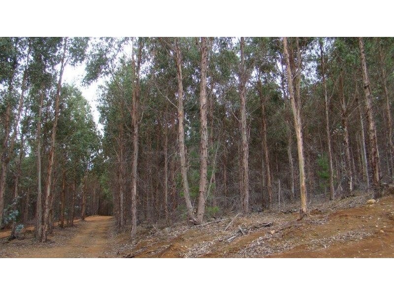 3665 Greville Rd, Kingston WA 6256