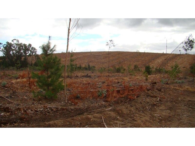 3665 Greville Rd, Kingston WA 6256