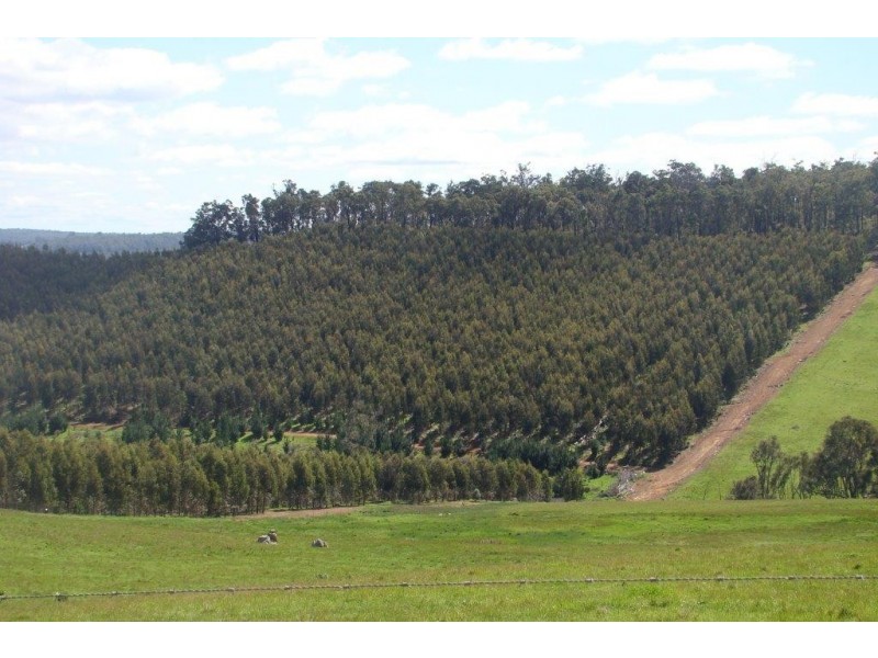 7974 South Western Hwy, Bridgetown WA 6255