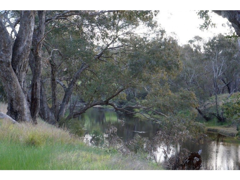 Lot 200 Winnejup Rd, Mayanup WA 6244