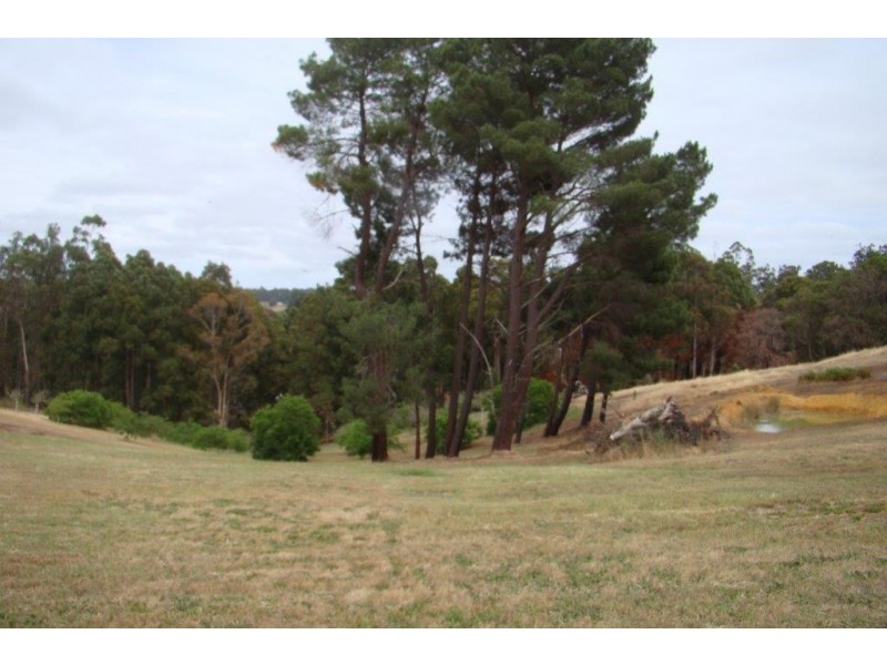 44 Dean Street, Bridgetown WA 6255