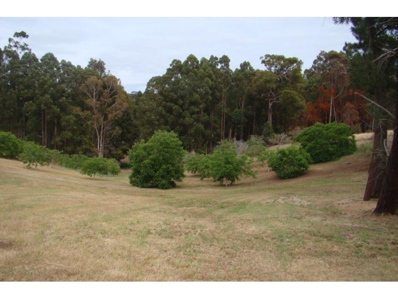 44 Dean Street, Bridgetown WA 6255