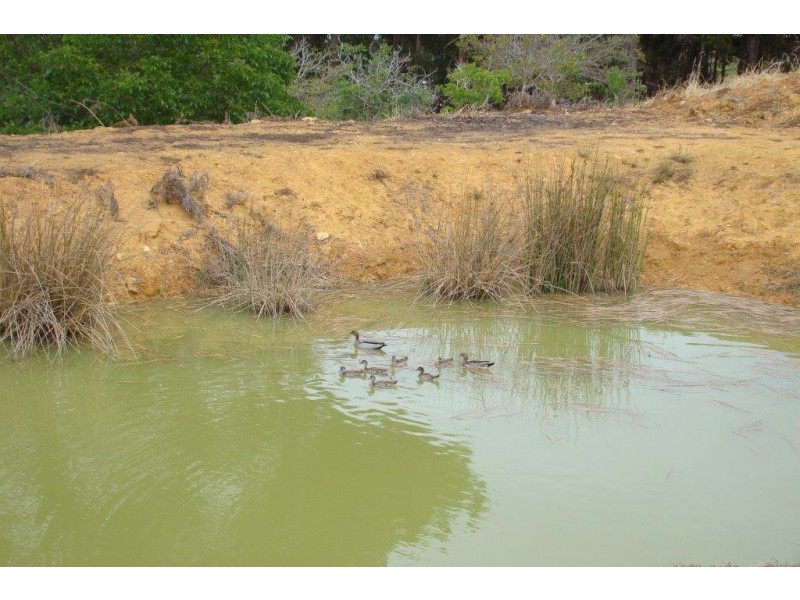 44 Dean Street, Bridgetown WA 6255