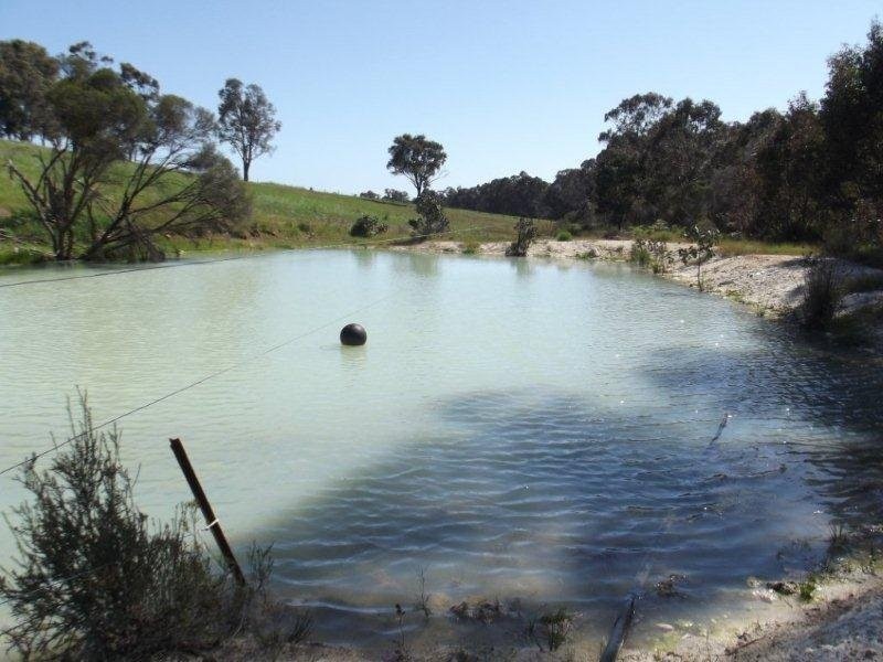 420 Yovanche Road, Bridgetown WA 6255